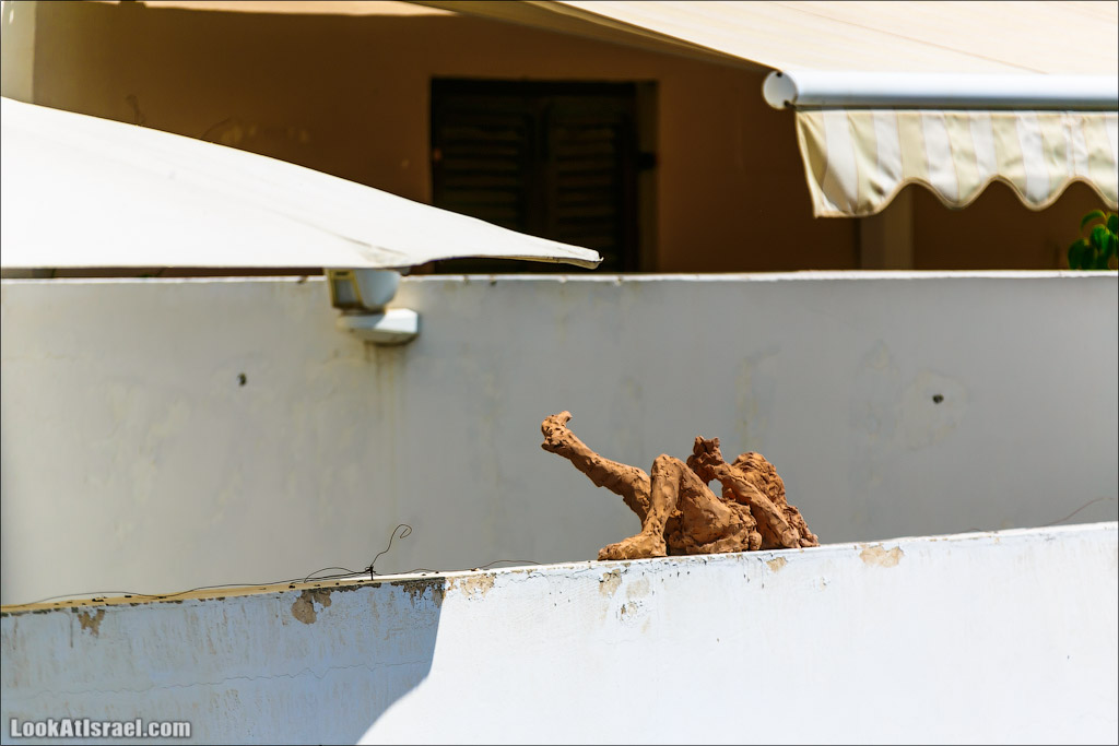 Тель Авивские граффити. LookAtIsrael.com - Фото путешествия по Израилю