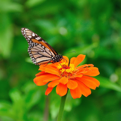 Hd-175226-ascw175226