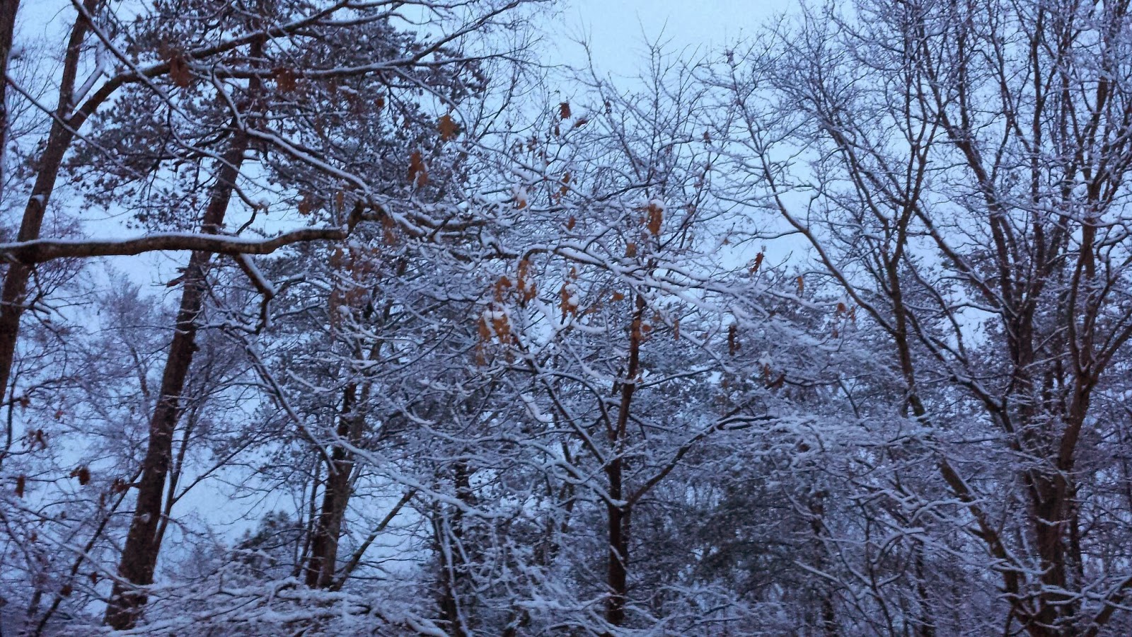 davejennyjournal Snow in South Carolina