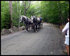 16d - Continuing to Jordan Pond House horse stop