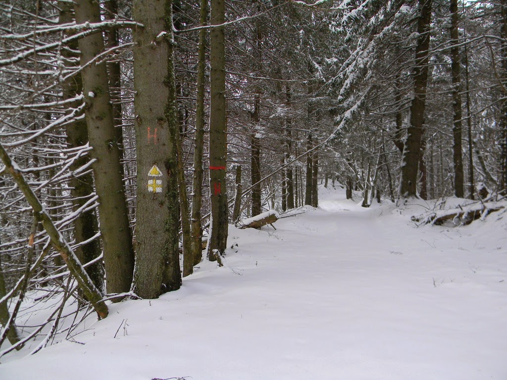 [DSCN07583.jpg]