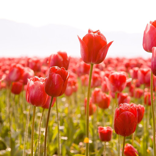 Hd-149968-ascw149968