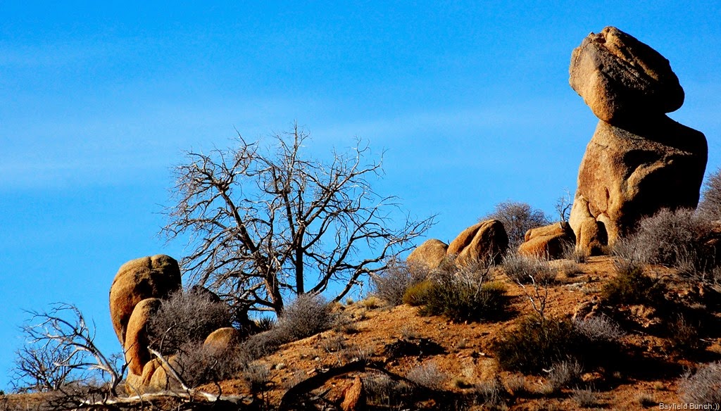 [DSC_3201%255B3%255D.jpg]