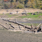 Loire - Vourdiat photo #741