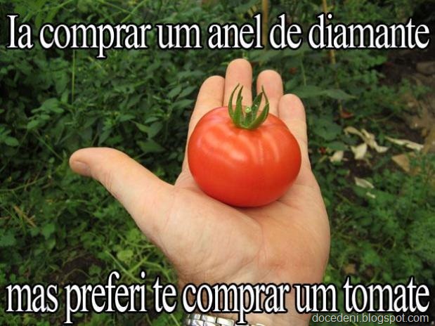 [tomates13%255B6%255D.jpg]