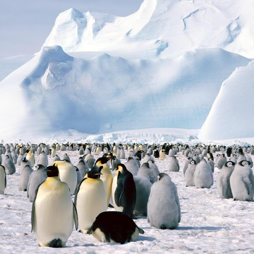 Hd-170456-ascw170456