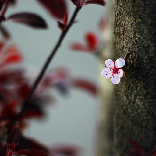 Hd-172354-ascw172354