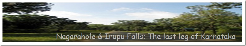 Nagarahole & Irupu Falls: The last leg of Karnataka 