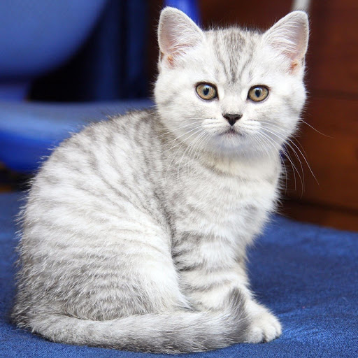 Hd-182499-ascw182499