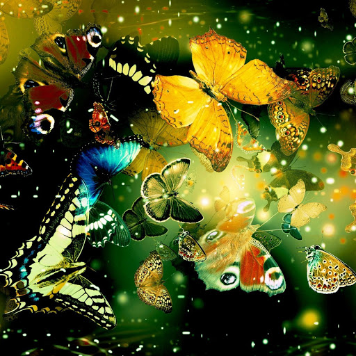 Hd-131572-ascw131572