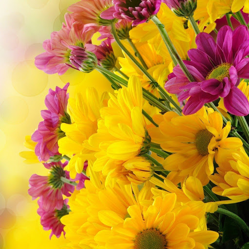 Hd-139690-ascw139690