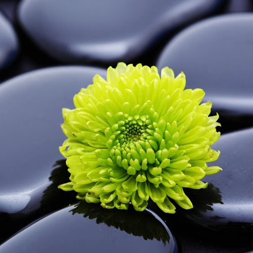 Hd-175176-ascw175176