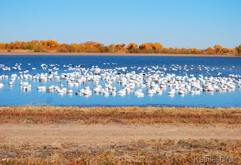 20. snow on water-kab