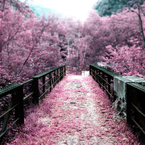 Hd-133148-ascw133148