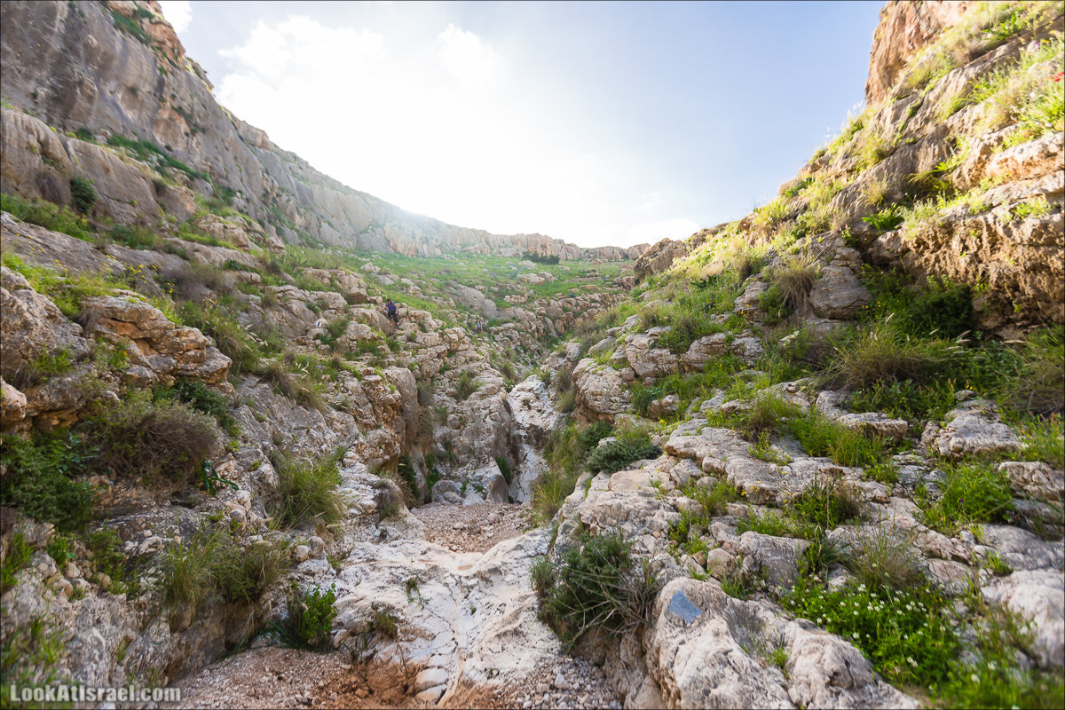 LookAtIsrael.com - Ручей (нахаль) Талкид | Nahal Talkid | נחל תלקיד