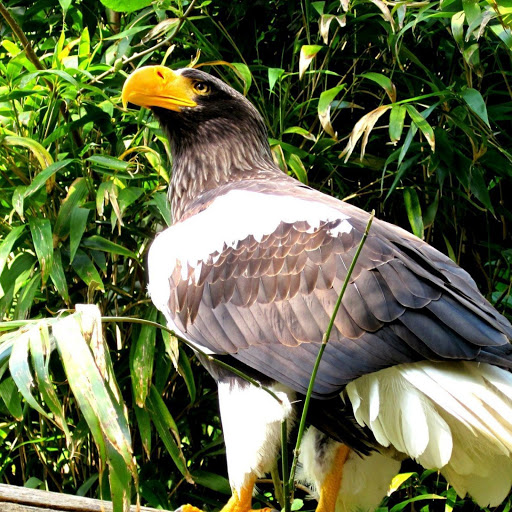 Hd-177674-ascw177674