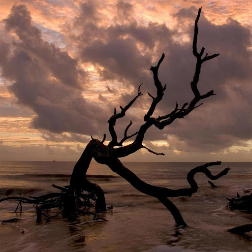 Hd-179386-ascw179386