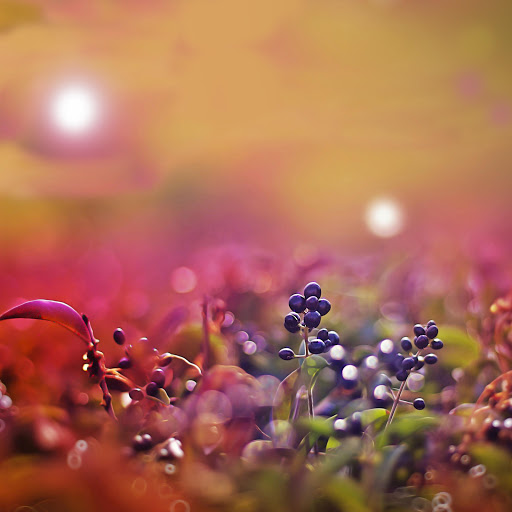 Hd-143269-ascw143269