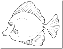 pez colorear blogcolorear (2)