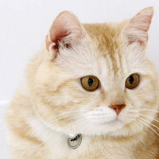 Hd-148777-ascw148777