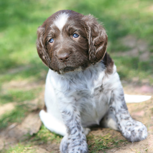 Hd-169901-ascw169901