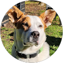 T S profile picture