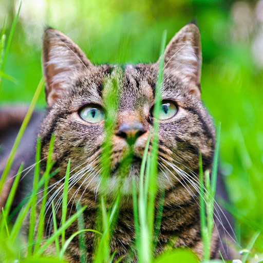 Hd-174616-ascw174616