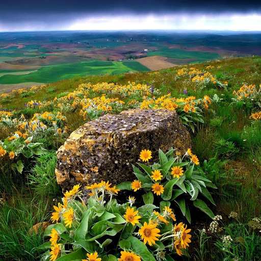 Hd-180871-ascw180871