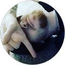 Trip Advizor profile picture
