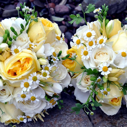 Hd-172101-ascw172101