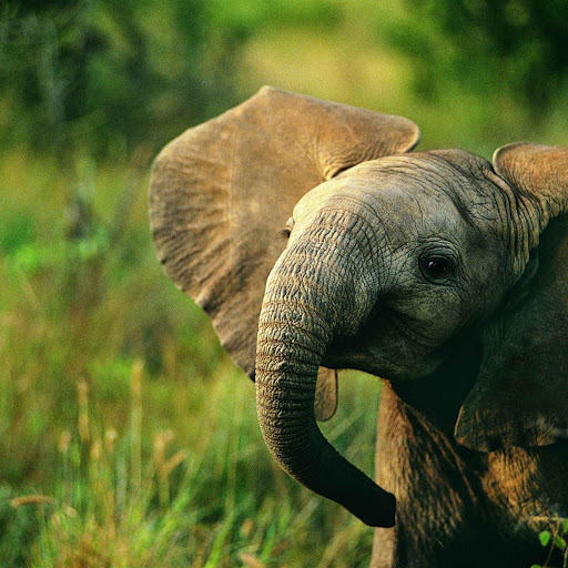 Hd-134637-ascw134637