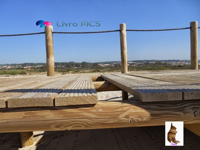 [O%2520desenvolvimento%2520das%2520Ruas%2520de%2520Espinho001Gazeta%2520de%2520Espinho%255B2%255D.jpg]