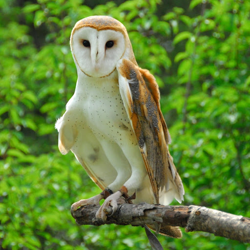 Hd-178032-ascw178032