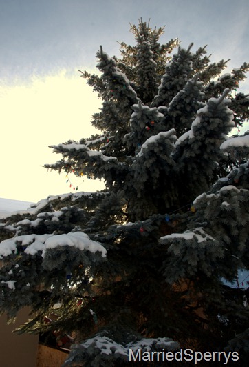 CrestedButte_01_10_2012_204.NEF CrestedButte_01_10_2012_204.NEF