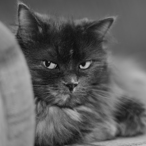 Hd-151239-ascw151239