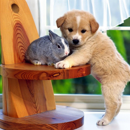 Hd-173761-ascw173761