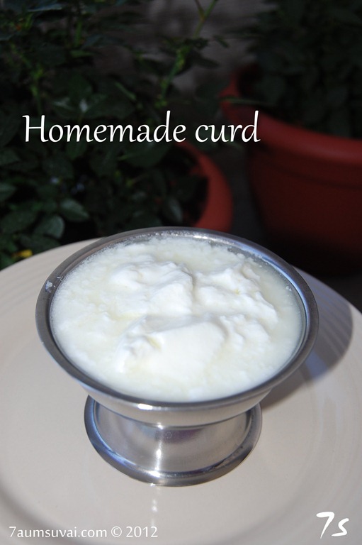 [Homemade%2520curd%2520pic3%255B3%255D.jpg]