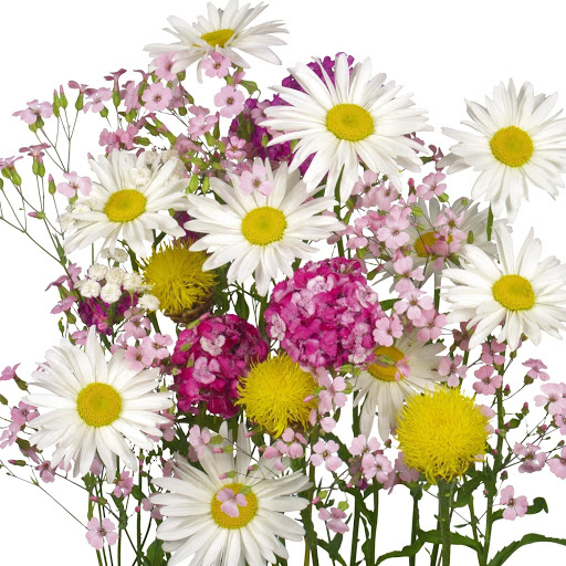 Hd-165797-ascw165797