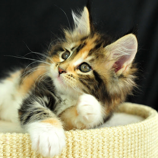 Hd-156961-ascw156961