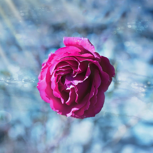 Hd-183644-ascw183644