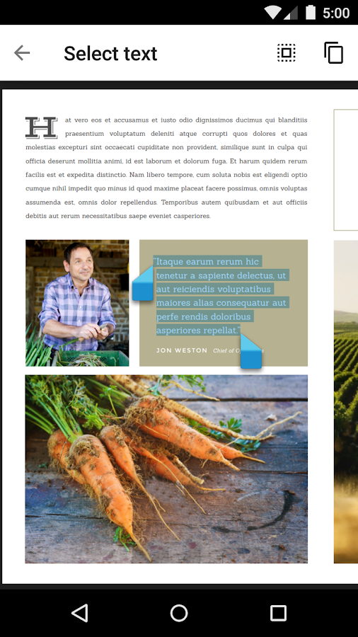    Google PDF Viewer- screenshot  