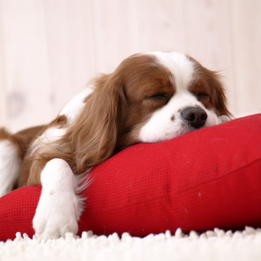 Hd-162683-ascw162683