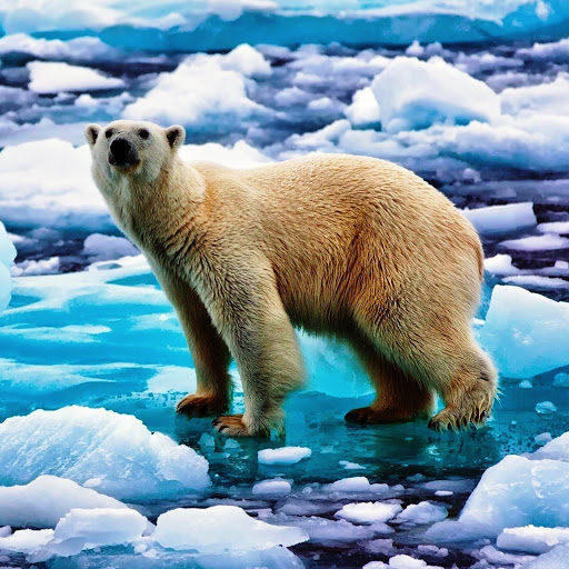 Hd-163227-ascw163227