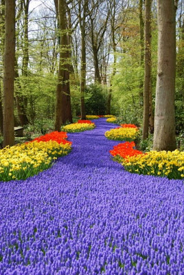 Keukenhof Gardens - We will bring Keukenhof to you! Keukenhof