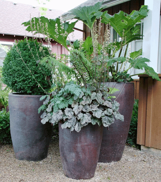 Port12 Max Pots For Plants
