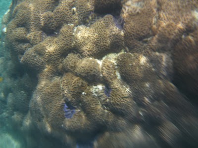 P1050335.JPG