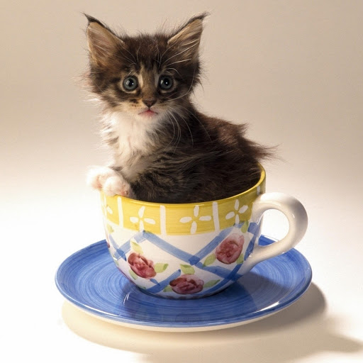 Hd-166053-ascw166053