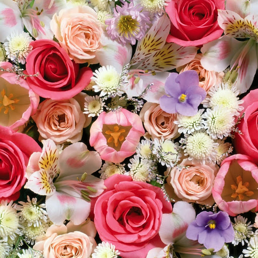 Hd-149172-ascw149172