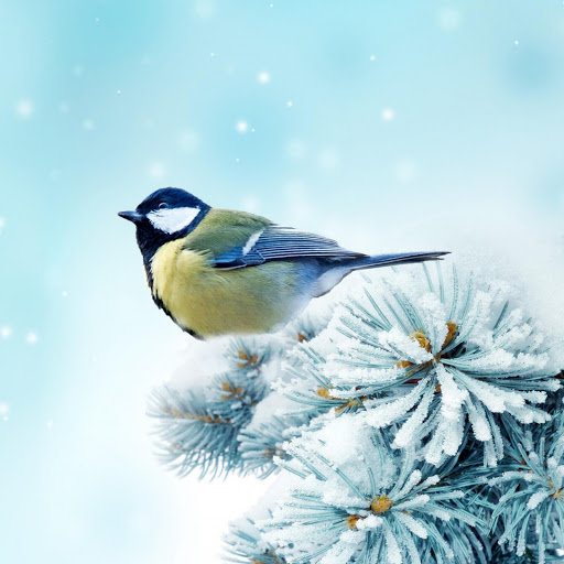 Hd-180084-ascw180084