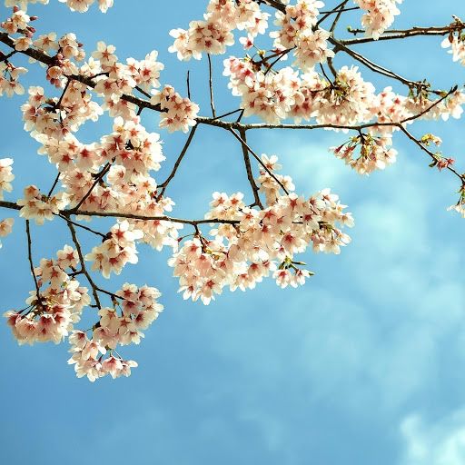 Hd-164353-ascw164353